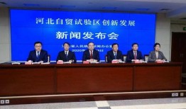 正定新闻爆料最新消息,突发！最新事件引发关注，详情即将揭晓